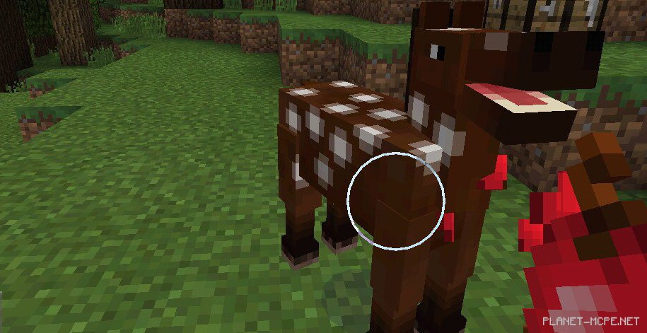 Как приручить лошадь в Minecraft PE?