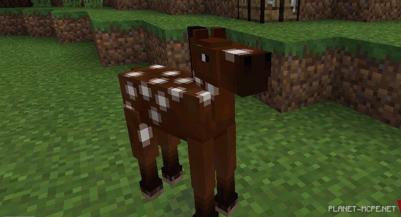 Как приручить лошадь в Minecraft PE?