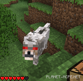 Враждебный волк в Minecraft PE 1.26