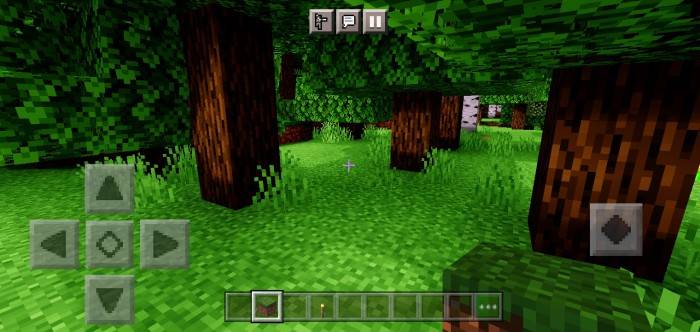 Березовый лес | Шейдеры Libra Shader AE