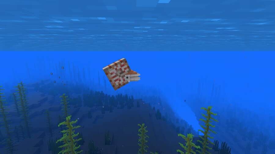 Наутилус в воде