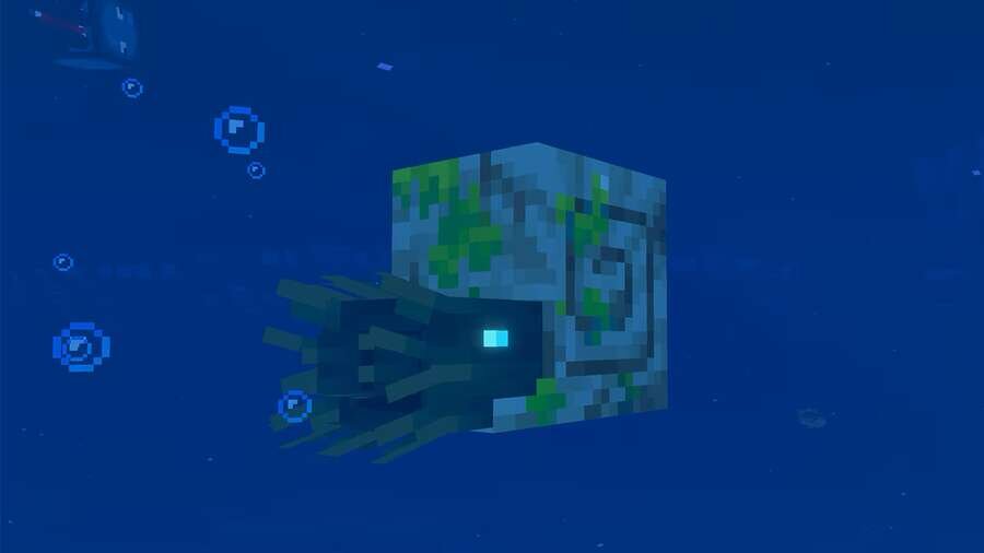 Зомби-наутилус в воде