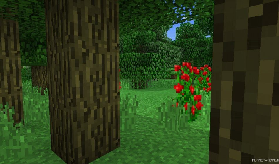 Shaders White Sand 0.12.3/0.12.2