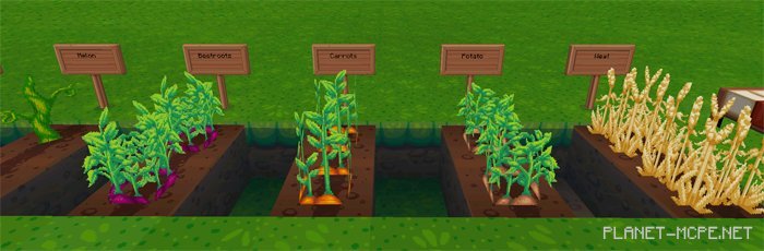 Текстур пак Dragon Dance 0.12.3