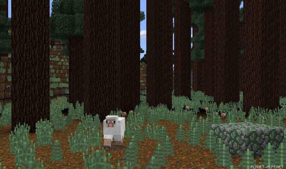 Мега тайга с большим количеством хвойных деревьев [0.13.x]