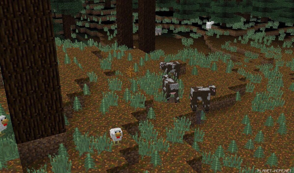 Мега тайга с большим количеством хвойных деревьев [0.13.x]