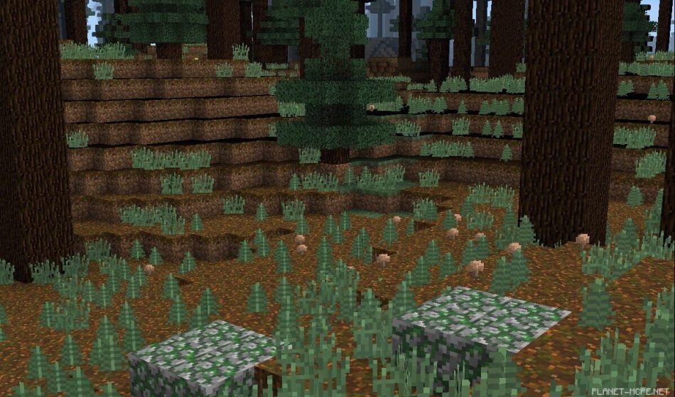 Мега тайга с большим количеством хвойных деревьев [0.13.x]