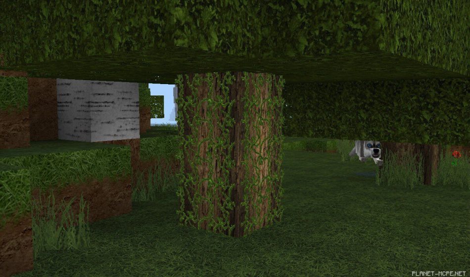 Текстур пак LIFE HD 0.16.0/0.13.1