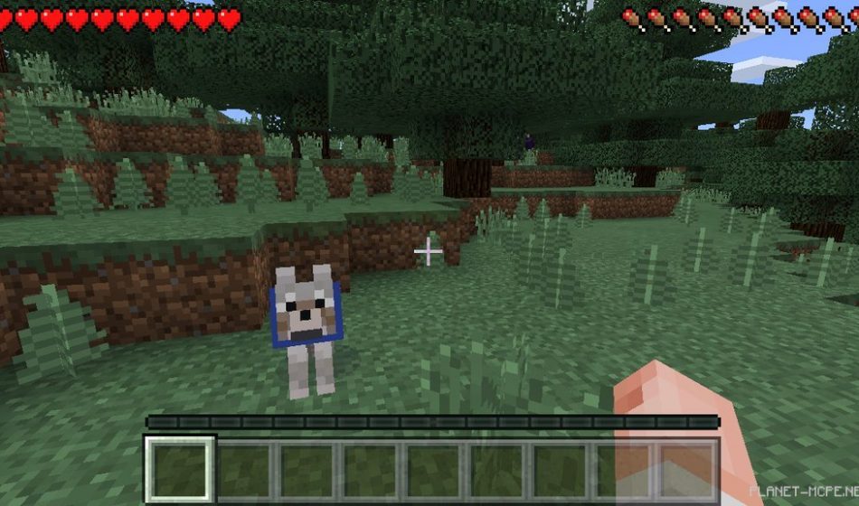 Minecraft Pocket Edition 0.14 - что нового?