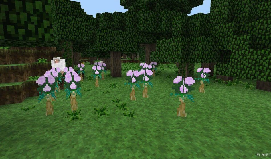 Текстур пак Majora’s Mask 0.14.1/0.14.0