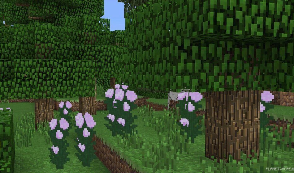 Текстур пак Traditional Beauty 0.14.2/0.14.1/0.14.0