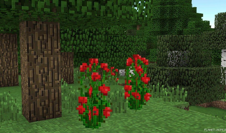 Текстур пак Traditional Beauty 0.14.2/0.14.1/0.14.0