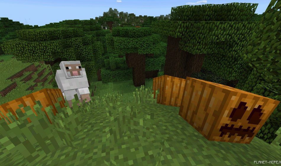 Шейдеры Animal Crossing 0.14.2/0.14.0