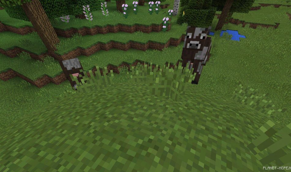 Шейдеры Animal Crossing 0.14.2/0.14.0