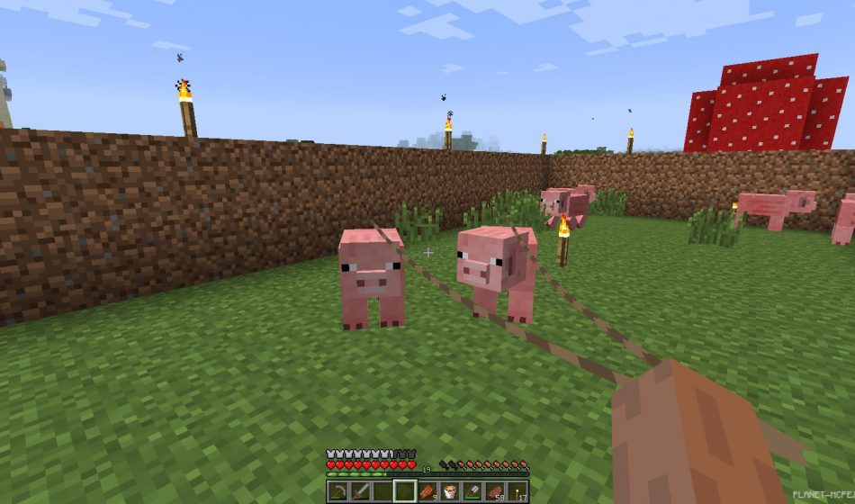 В Minecraft PE 0.15.0 появится поводок!