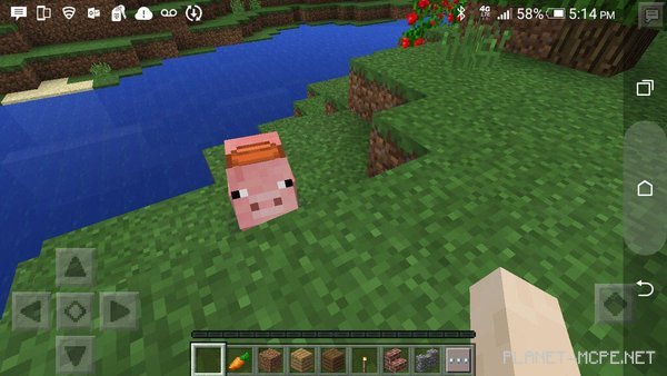 In Minecraft PE 0.15.0, there will be riding and a carrot on a stick!
