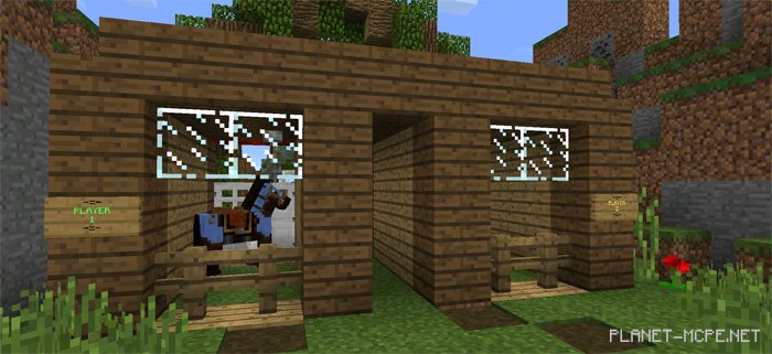 Animal Racers PE Map