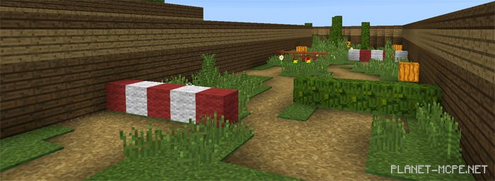 Карта Automated Racetrack