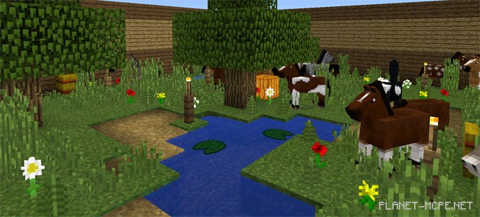 Карта Automated Racetrack