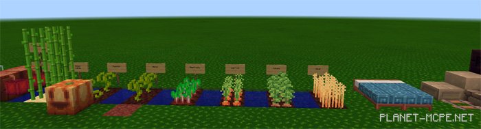 Текстур пак Flourish PE 0.15.1/0.15.0