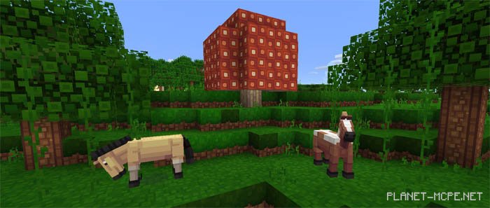 Текстур пак Ignaf’s Quadral PE 0.15.6/0.15.4/0.15.1