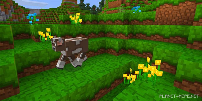 Текстур пак The Color Underground PE 0.15.4/0.15.3