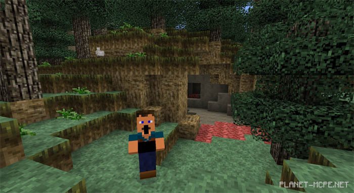 Текстур пак The Legend of Zelda (Шейдер) 0.15.4/0.13.1