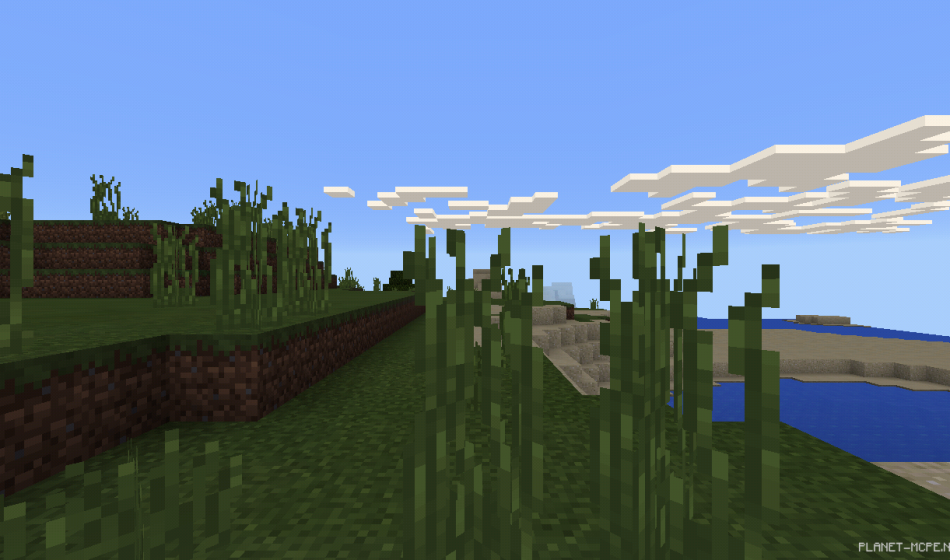 Деревня на грибном биоме с небольшим бонусом [0.15.x]