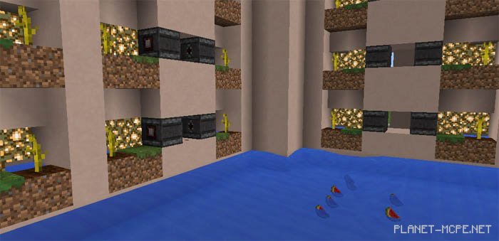 Insane Watermelon Farm Map