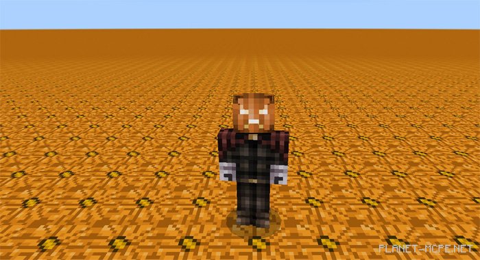 Map from Zeph’s Superflat Map Pack [Terrains]