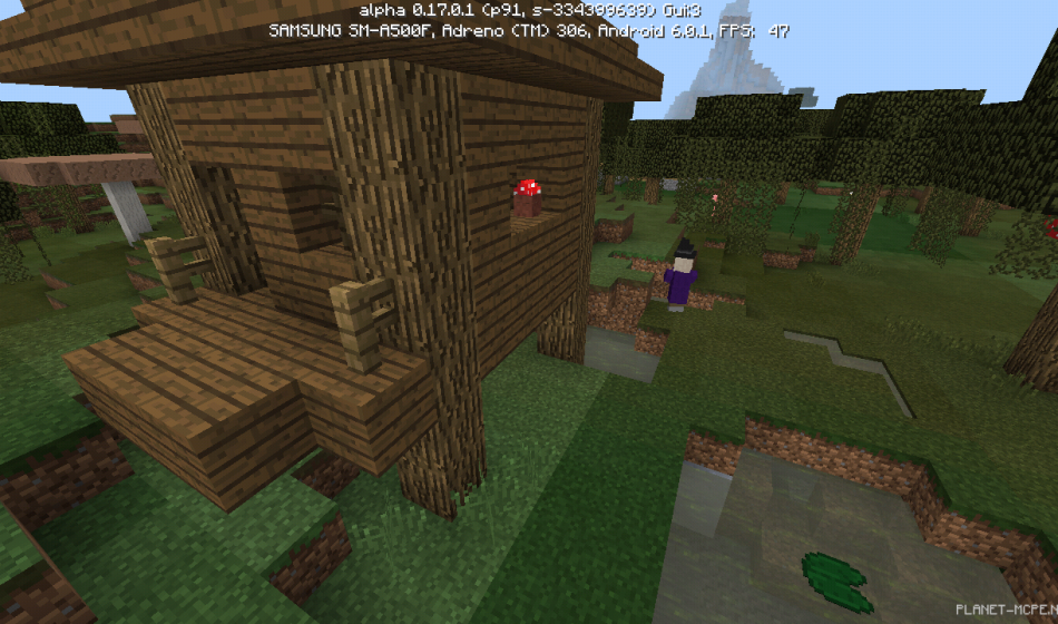 Деревня и домик ведьмы [0.17.0]