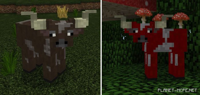 Map Big Game Hunter [Survival]