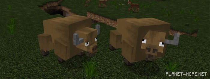 Map Big Game Hunter [Survival]