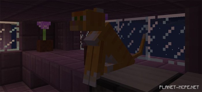 Map The Ender Elytra [Mini-game]