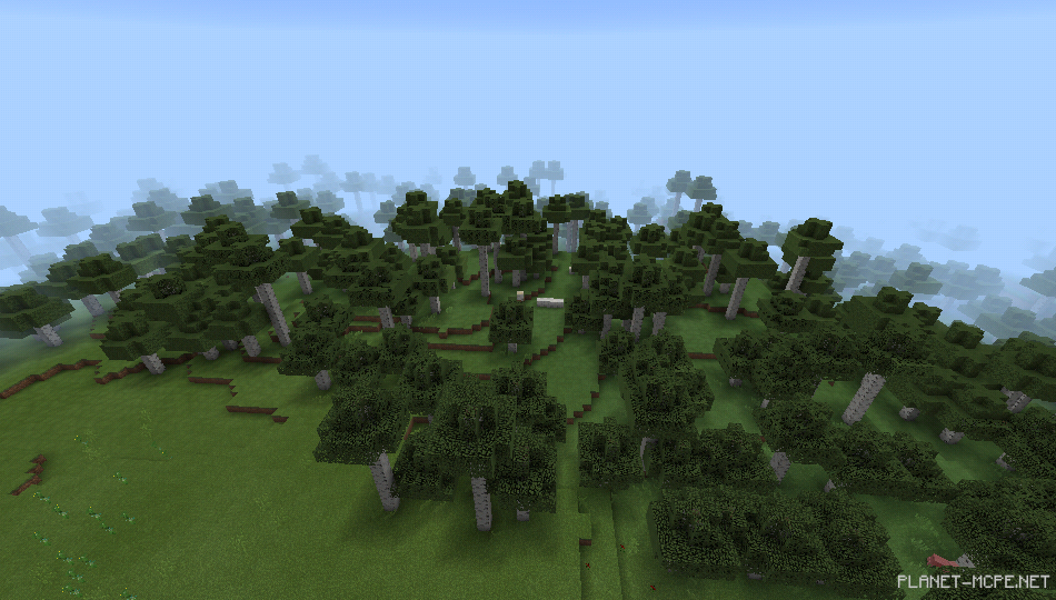 Редкий высокий берёзовый лес [1.0/0.17.0]