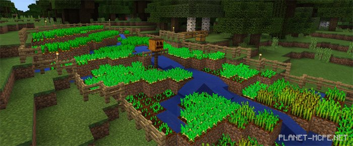 Карта Treehouse [Творчество]