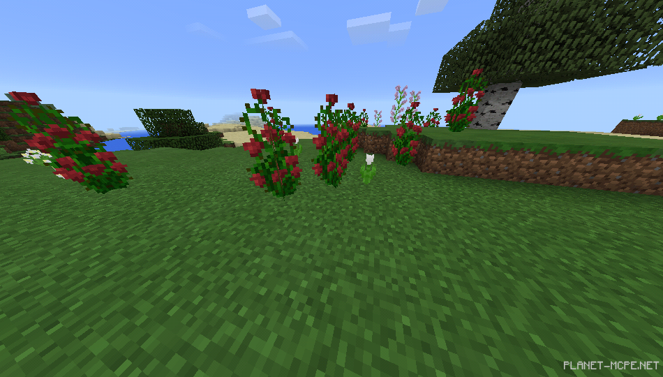 Море цветов [1.0/0.17.0]