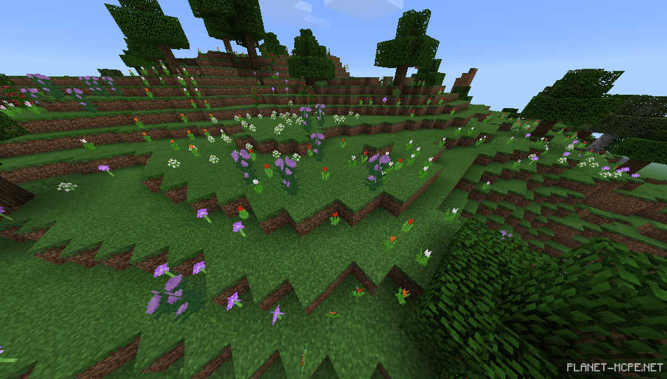 Море цветов [1.0/0.17.0]