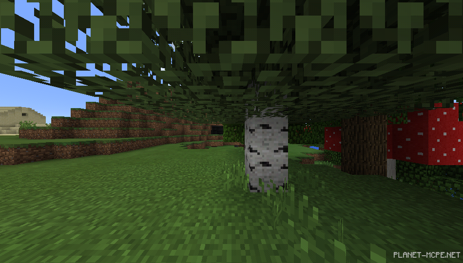 Деревня с кузницей и парочка биомов [1.0.6/1.0.0]