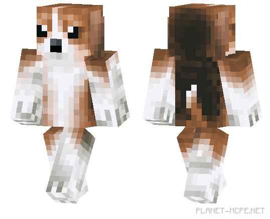 Love Dogs — собака