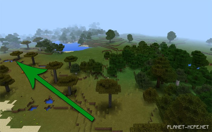 Далекий лесной особняк 1.1.0.9+