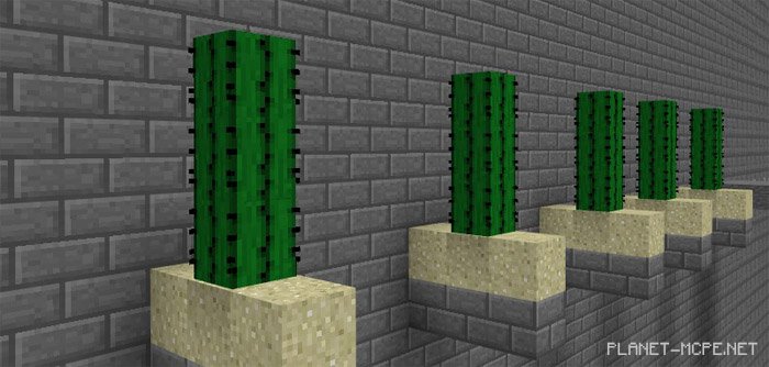 Map The Wall [Parkour]