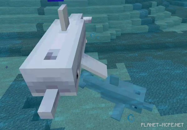 Map MCPE Beta 1.2.20.1 (Overview) [Creativity]