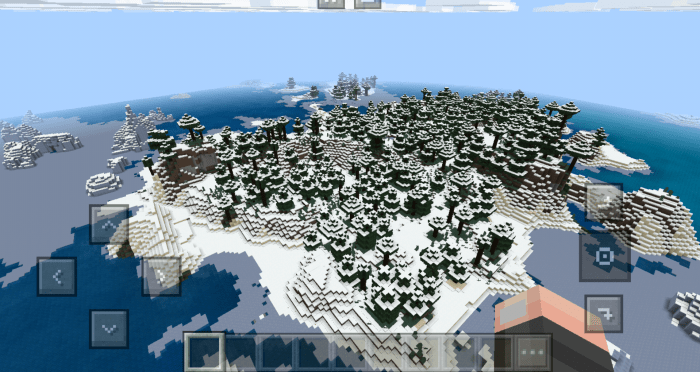 Сид с айсбергом на спавне 1.16 | Сиды для Minecraft