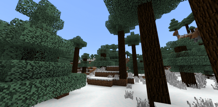 Зимний лес | Текстуры Зимняя Страна Чудес