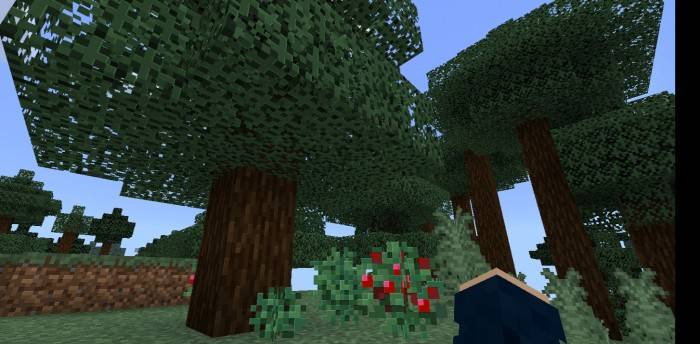 Сосна | Текстуры LiNet Vanilla