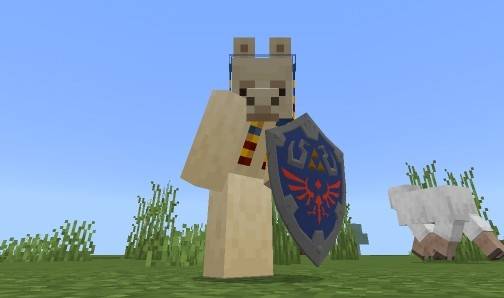 Вид от первого лица | Текстуры Щит из Легенды о Зельде