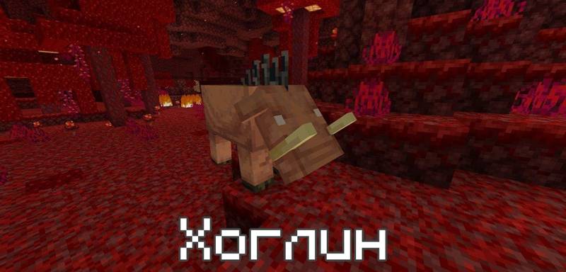 Скачать Minecraft 1.16.100 на Android (Полная версия) | Релиз Майнкрафт