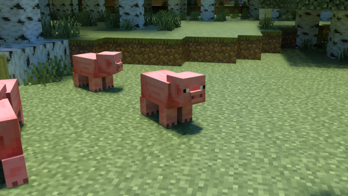 Улучшенные тени | Текстуры Чудесный RTX от Fishy