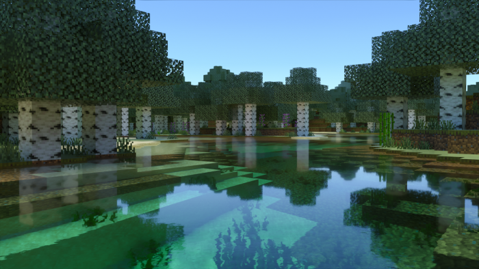 Обновление 1.0.1 | Текстуры Чудесный RTX от Fishy